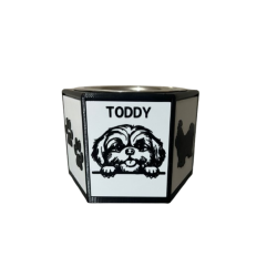 Comedouro Ergonômico Premium Shih Tzu