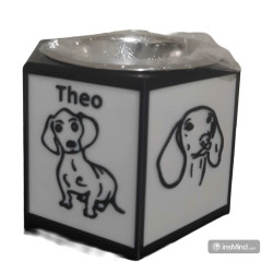 Comedouro Ergonômico Premium  Dachshunds