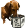 Comedouro Ergonômico Premium  Dachshunds