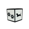 Comedouro Ergonômico Premium  Dachshunds